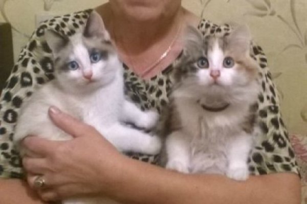 Кракен наркоторговец
