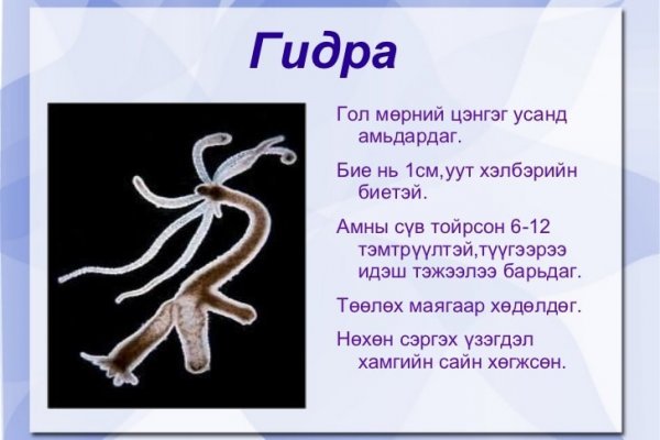 Kraken рабочее зеркало onion