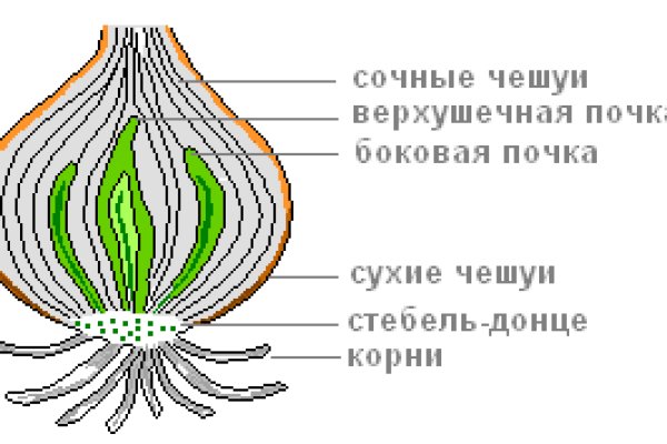 Кракен ссылка market pw