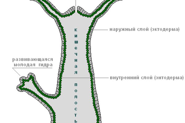 Как зайти на кракен через айфон