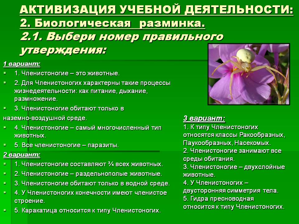 Кракен наркошоп ссылка