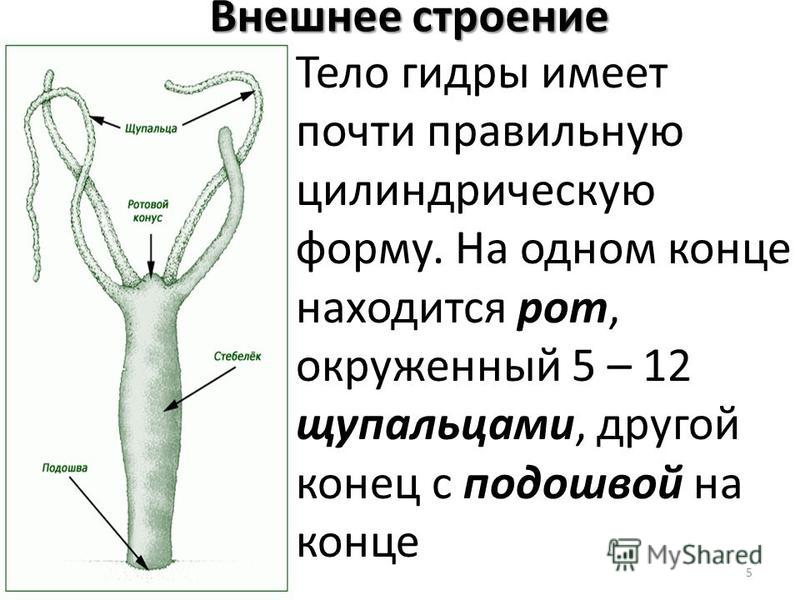Кракен сайт официальный kraken clear com